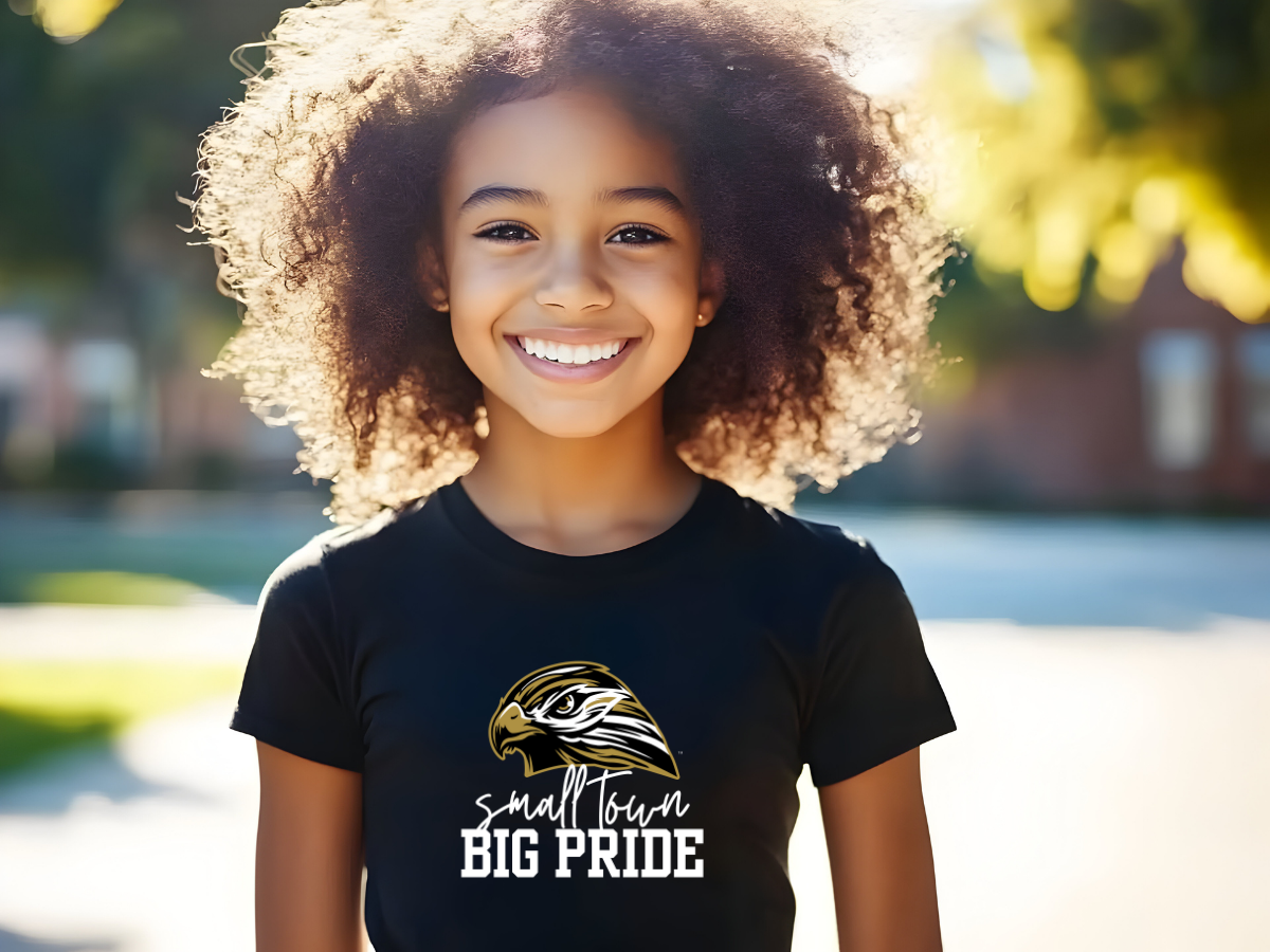 LOCAL PICK UP- Small Town Big Pride Hawk Youth T-Shirt – Youth Bella & Canvas Soft Tee for Kids